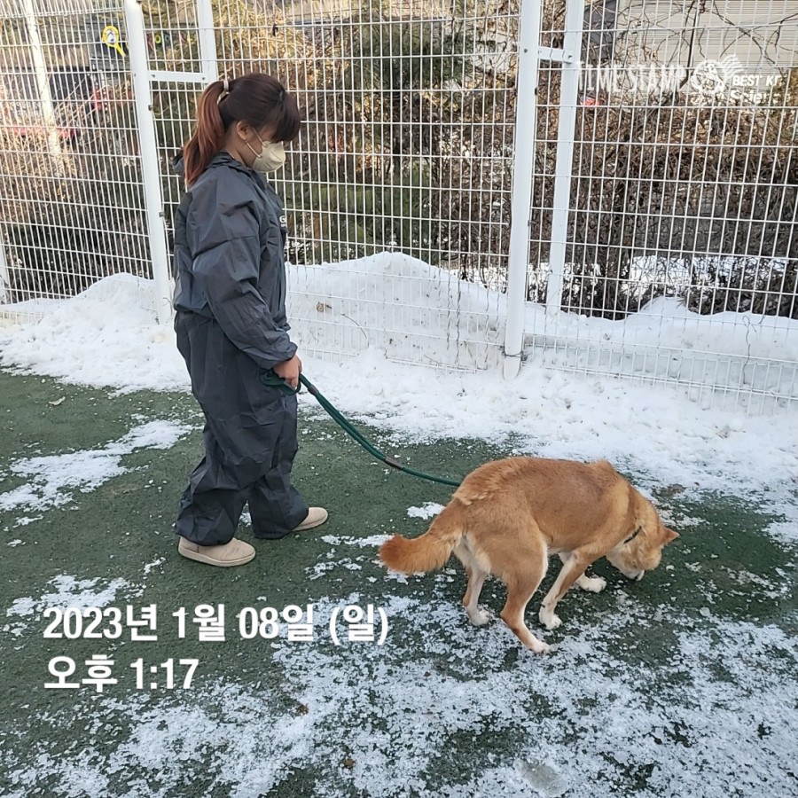 c54353a3cc856d7feb1d47a6956d2370_1673304938_1547.jpg