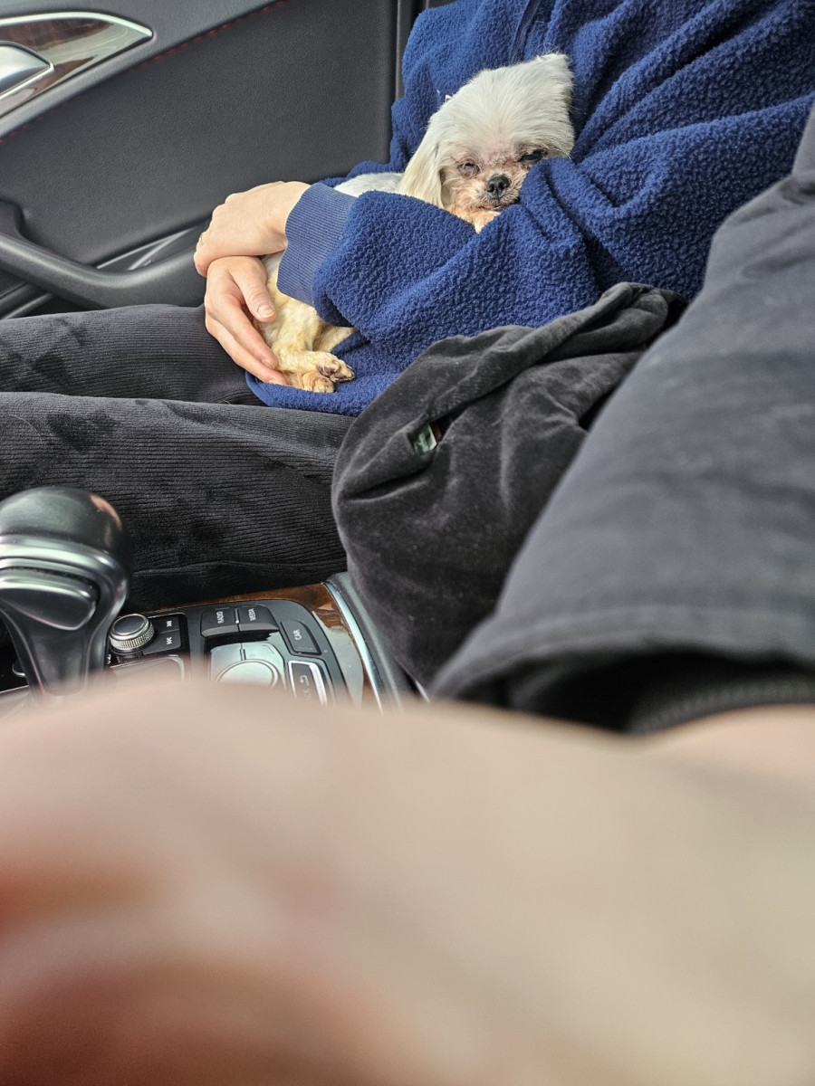 9fe748219a4c3312449589270ef4bed6_1707909262_0205.jpg