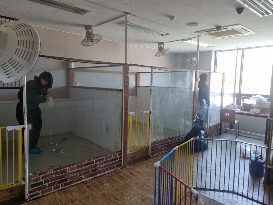 9f9815e61bcaa0b63b70341390560c49_1774236808_4929.jpg